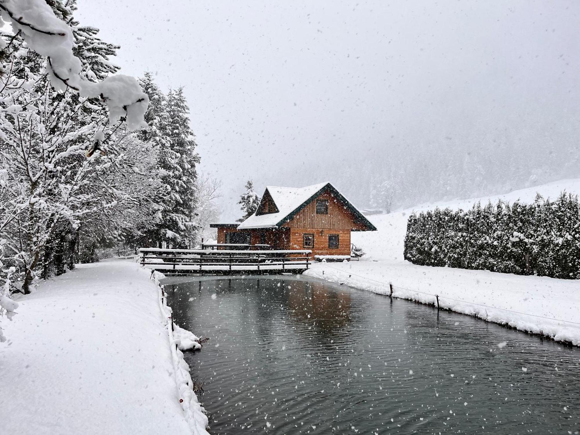 Chalet Am Teich Familie Gaenser Villa Feistritz am Kammersberg Buitenkant foto